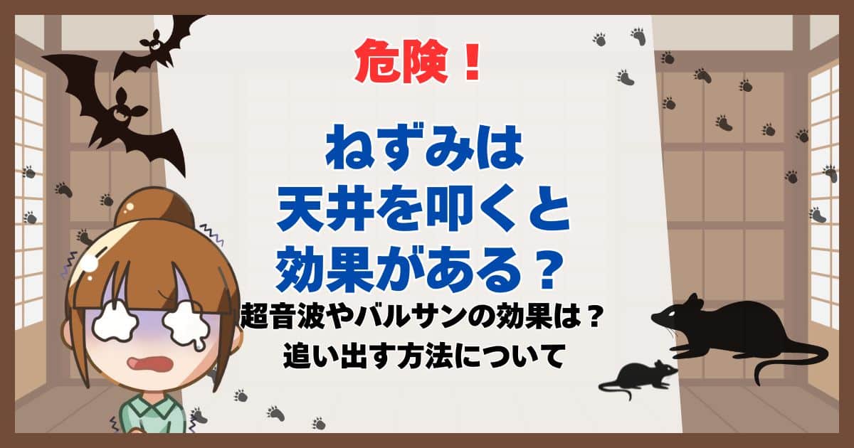 ねずみ 天井 叩く