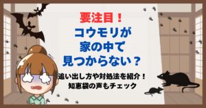 コウモリ 家の中 見つからない