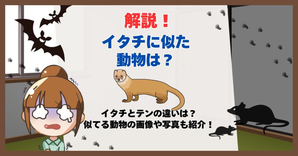 イタチに似た動物