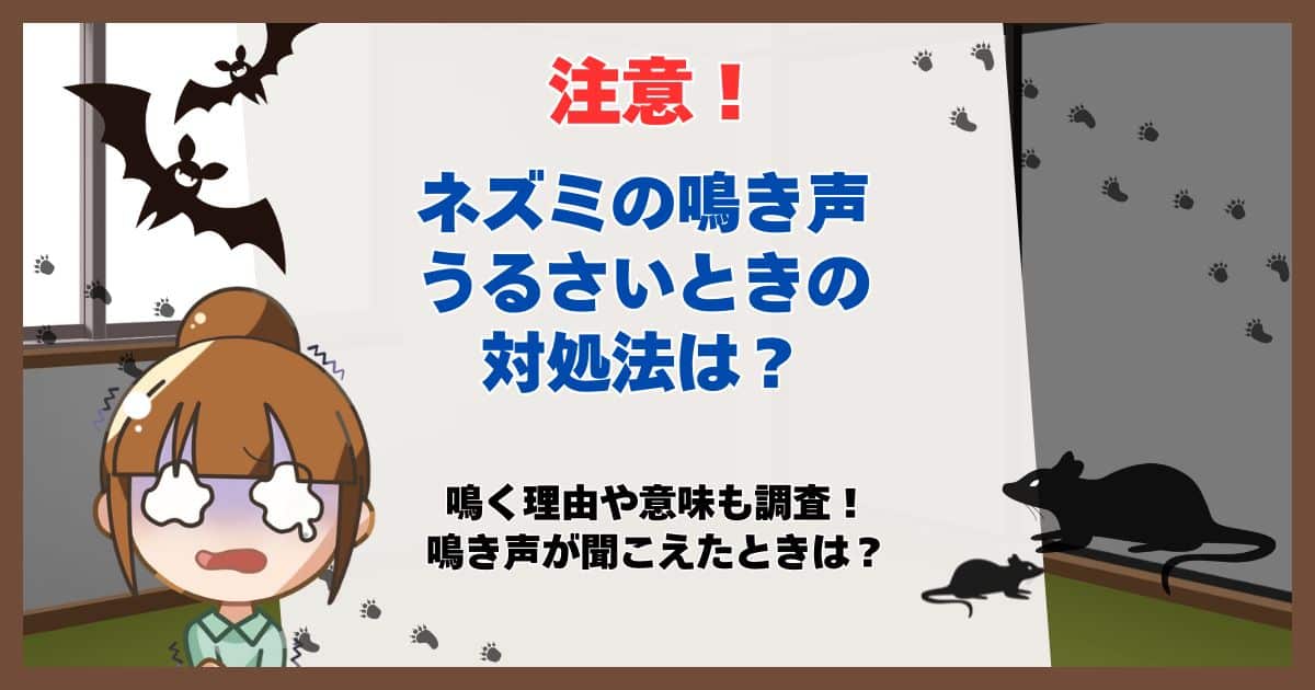 ネズミ 鳴き声うるさい