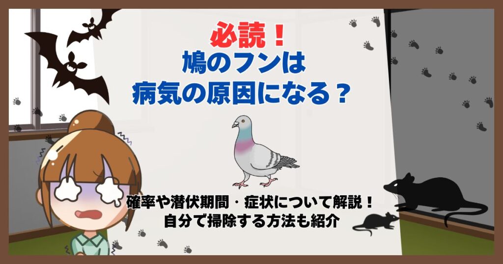 鳩のフン 病気