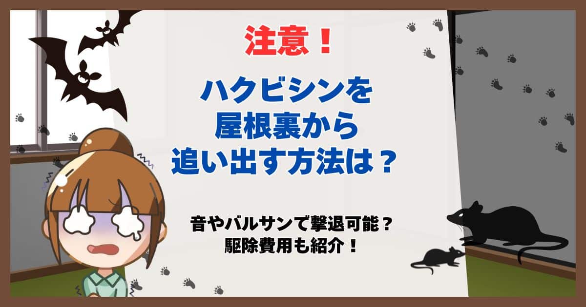 ハクビシン 屋根裏 追い出す