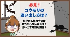 コウモリ 追い出し方