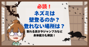 ネズミ 壁登る