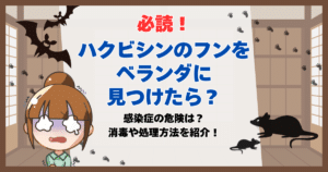 ハクビシン フン ベランダ