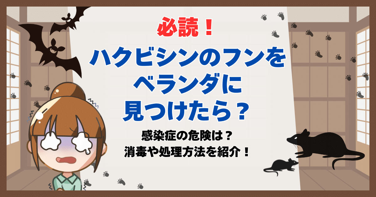 ハクビシン フン ベランダ