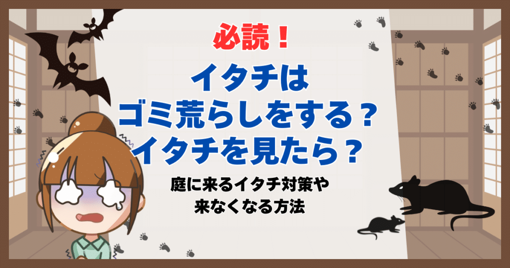 イタチ ゴミ荒らし
