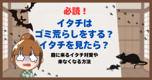 イタチ ゴミ荒らし