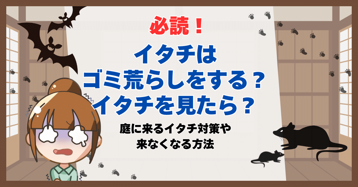 イタチ ゴミ荒らし